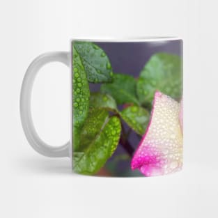 Multicolored Rose in Spring Rain Mug